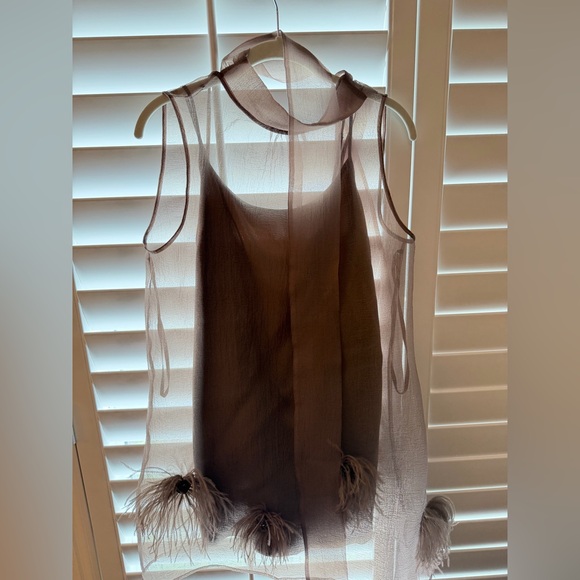 STAUD Sheer Tan Dress with Feather Accents - Picture 2 of 3